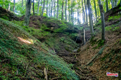 Blick von unten in die tief ausgefurchte Einkerbung der Gr&auml;t
