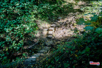 In den Steilhang gebauter Bergpfad zu Beginn des Abstiegs in die Oppigbach-Gr&auml;t