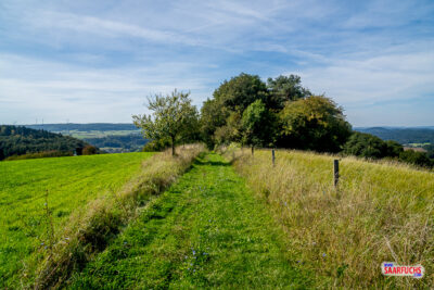 Schmaler Wanderweg verl&auml;uft zwischen weitl&auml;ufigen gr&uuml;nen Wiesen und Weidefl&auml;chen