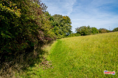 Gespurter Wanderweg verl&auml;uft in einem Bogen um eine gro&szlig;e gr&uuml;ne Wiesenfl&auml;che