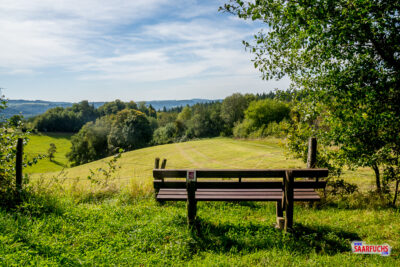 Holzbank an einem Aussichtspunkt am Waldrand mit Blick auf die umliegenden Wiesen