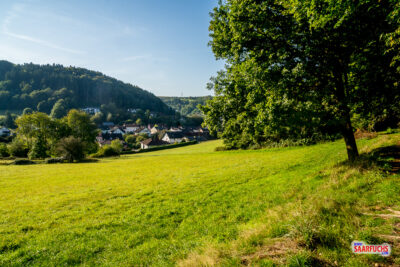 Premiumwanderweg verl&auml;uft rund um eine gro&szlig;e Wiese