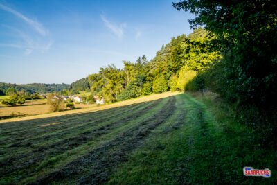 Leicht ansteigender Naturweg vorbei an Wiesen und Obstb&auml;umen