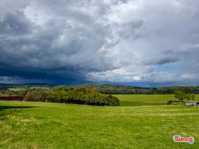 Weitblick auf abwechslungsreiche Wald- und Wiesenlandschaft vom Westerwaldsteig