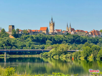Blick auf Bad Wimpfen