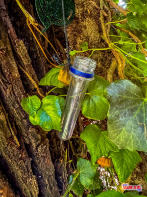 Geocache am Neckartal-Radweg