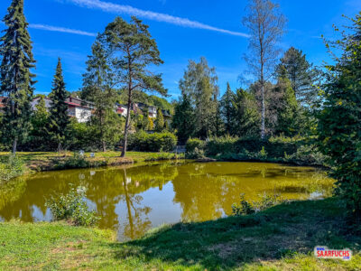 Ruhiger kleiner Teich am Wegesrand