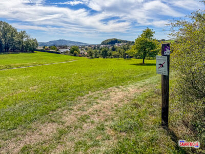 Hinweisschild zur Anleinpflicht für Hunde auf einer Futterwiese