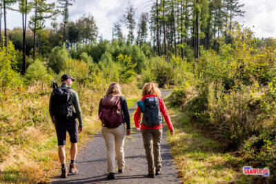 Ein breiter, flacher Forstweg führt durch den lichten Westerwald