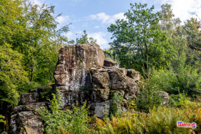 Die mächtigen Basaltfelsen der Großen Wolfsteine im Wald