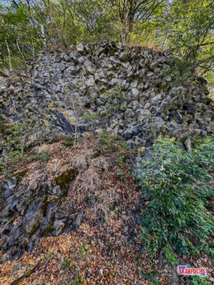 Eine riesige fächerförmige Lavarosette aus dunklem Basaltgestein im Basaltpark
