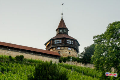 Blick vom Fuß des Weinberges hinauf zur Esslinger Burg