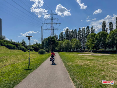 Ein asphaltierter Radweg verläuft durch eine grüne Parkanlage zwischen dem Flusslauf und einem Altarm des Neckars