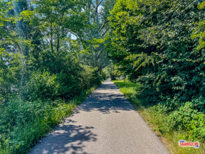 Ein breiter, gut ausgebauter Fahrradweg verläuft direkt entlang des Ufers des Neckars