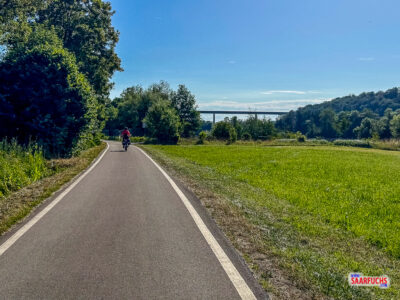 Ein ausgebauter Fahrradweg verläuft durch die grün bewachsene Auenlandschaft entlang des Neckars