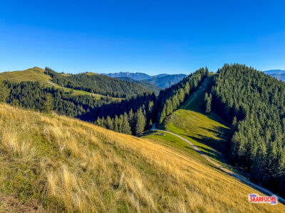 Blick vom bewaldeten Gipfel des Vorderen H&ouml;rnles auf Mittleres und Hinteres H&ouml;rnle