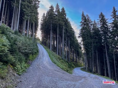 Breiter Forst- und Schotterweg f&uuml;hrt in Serpentinen bergab in Richtung Tal