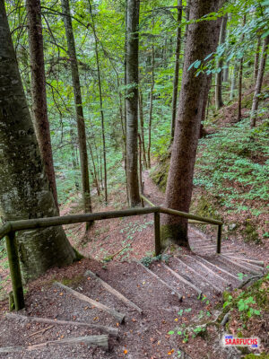 Treppenabstieg aus Holzstufen f&uuml;hrt tief hinab in die bewaldete Burggrabenschlucht