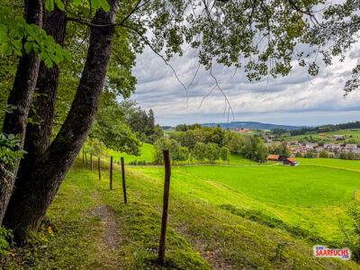 Wanderweg am Waldrand entlang einer gro&szlig;en gr&uuml;nen Wiese im Tal von Bad Kohlgrub