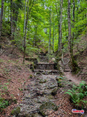 Br&uuml;cken und Stufen f&uuml;hren entlang des Wanderwegs durch die Ludwigschlucht